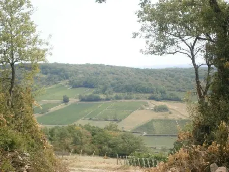 Le gite du randonneur (Das Ferienhaus des Wanderers) - Photo 14