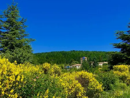 Genießen Sie die Ruhe und den Frieden der Provence - Photo 1
