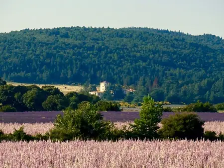 Genießen Sie die Ruhe und den Frieden der Provence - Photo 15