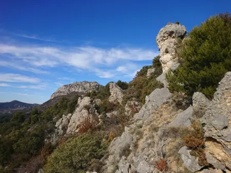Lou Pitchot Maximénet Le cerf, Appartement 6 personnes à Buis les Baronnies - Photo 17