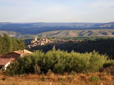 Ein gemütliches Nest im Herzen der Ardèche Méridionnale - Photo 5