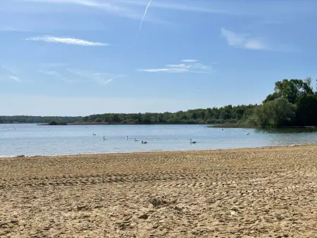 chalet a giffaumont  klimatisiert am LAC DU DER, Maison 7 personnes à Giffaumont Champaubert - Photo 14