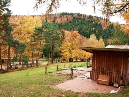 in Walscheid mit Terrasse, Grill, Maison 8 personnes à Walscheid - Photo 29