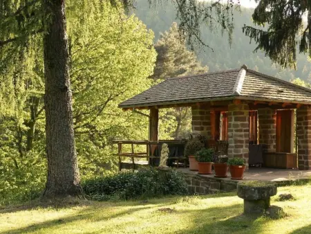 in Walscheid mit Terrasse, Grill, Maison 8 personnes à Walscheid - Photo 45
