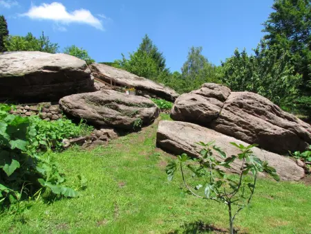 Das Gîte Fleuri mit einer herrlichen Aussicht, Maison 3 personnes à Haselbourg - Photo 15