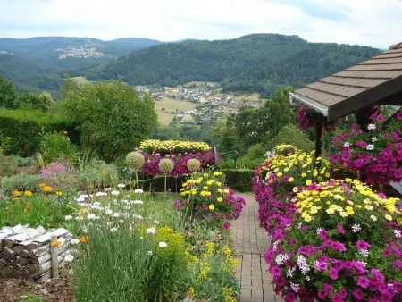 Das Gîte Fleuri mit einer herrlichen Aussicht, Maison 3 personnes à Haselbourg - Photo 21