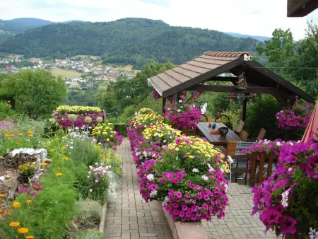 Das Gîte Fleuri mit einer herrlichen Aussicht, Maison 3 personnes à Haselbourg - Photo 23