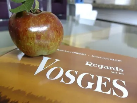 Villa  La Folie des Vosges  (Die Folie der Vogesen) - Photo 3