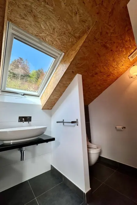 Villa  La Folie des Vosges  (Die Folie der Vogesen) - Photo 40