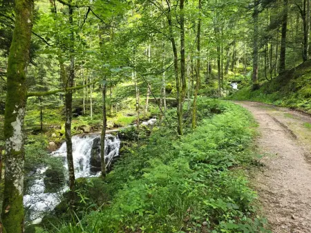 Le Chalet Sous Les Sapins, mit Swimmingpool, Sauna - Photo 18