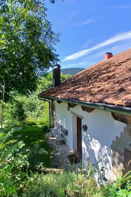 in Ventron mit eingezäuntem Garten, Maison 5 personnes à Ventron - Photo 28