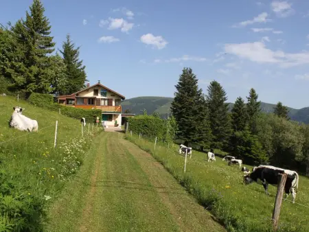 Entre Alsace et Vosges dans la vallée de Munster - Photo 10