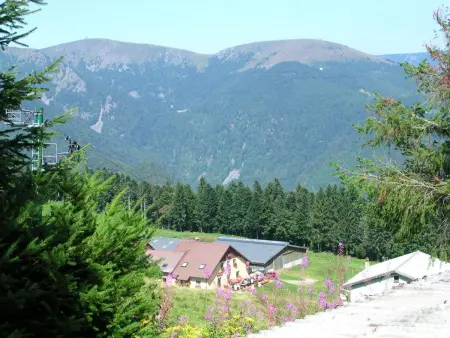 Entre Alsace et Vosges dans la vallée de Munster - Photo 12