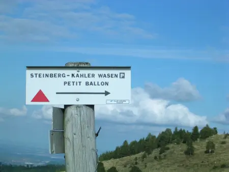 Entre Alsace et Vosges dans la vallée de Munster - Photo 17