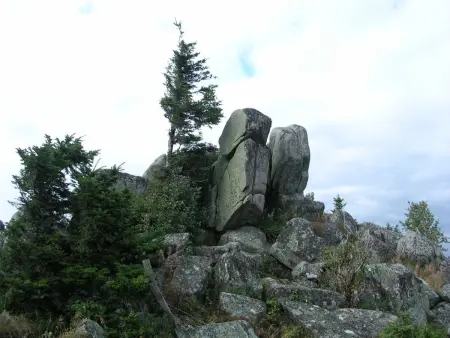 Entre Alsace et Vosges dans la vallée de Munster - Photo 19