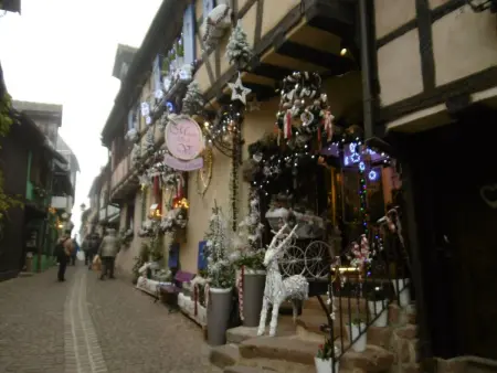 Entre Alsace et Vosges dans la vallée de Munster - Photo 24
