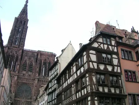 Entre Alsace et Vosges dans la vallée de Munster - Photo 26