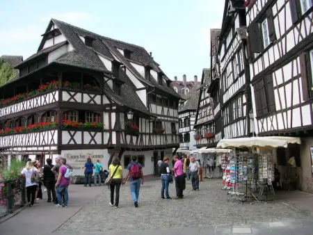 Entre Alsace et Vosges dans la vallée de Munster - Photo 27