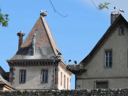 Entre Alsace et Vosges dans la vallée de Munster - Photo 30