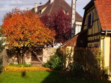 Gite  Sonneblüem un Pfefferminz, Maison 4 personnes à Horbourg Wihr - Photo 1