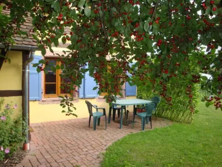 Gite  Sonneblüem un Pfefferminz, Maison 4 personnes à Horbourg Wihr - Photo 4