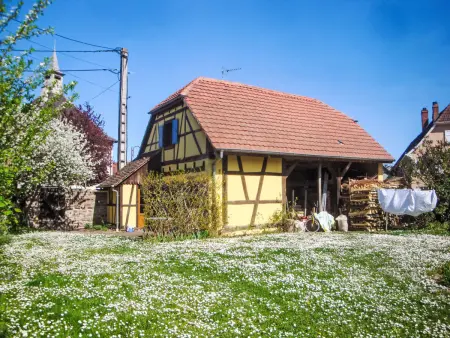 Gite  Sonneblüem un Pfefferminz, Maison 4 personnes à Horbourg Wihr - Photo 17