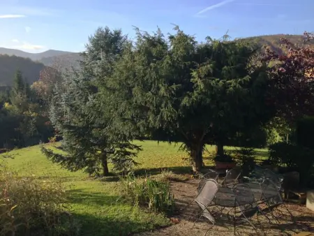 Bellevue mit Große Garten, Maison 7 personnes à Breitenbach - Photo 6
