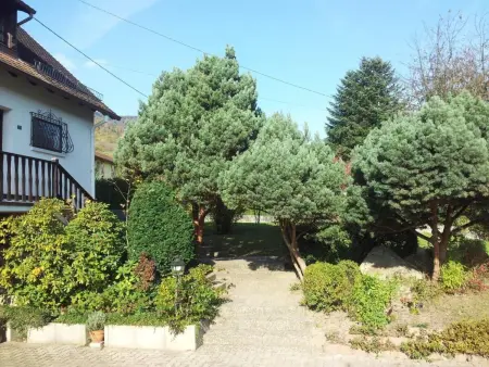 Bellevue mit Große Garten, Maison 7 personnes à Breitenbach - Photo 29