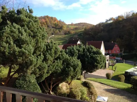 Bellevue mit Große Garten, Maison 7 personnes à Breitenbach - Photo 30