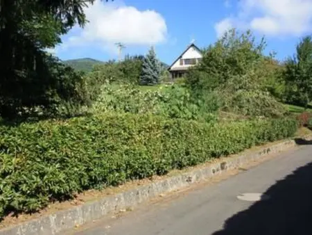 Bellevue mit Große Garten, Maison 7 personnes à Breitenbach - Photo 31