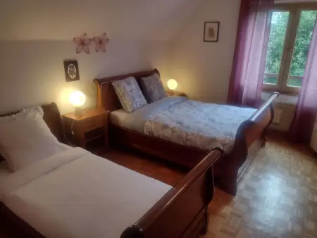 Bellevue mit Große Garten, Maison 7 personnes à Breitenbach - Photo 44