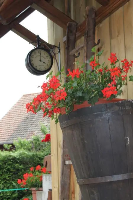 Fachwerkhaus  la maison de vacances, Maison 5 personnes à Nothalten - Photo 34