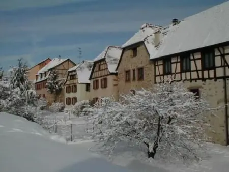 La Maison Bleue im Zentrum des Elsass in Bergheim - Photo 1