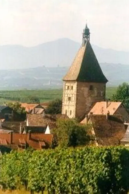 La Maison Bleue im Zentrum des Elsass in Bergheim - Photo 14