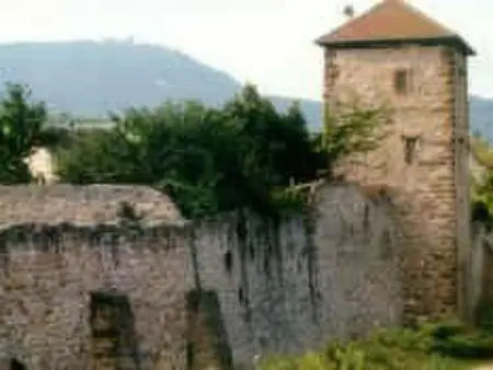 La Maison Bleue im Zentrum des Elsass in Bergheim - Photo 15