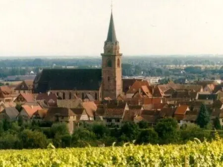 La Maison Bleue im Zentrum des Elsass in Bergheim - Photo 16