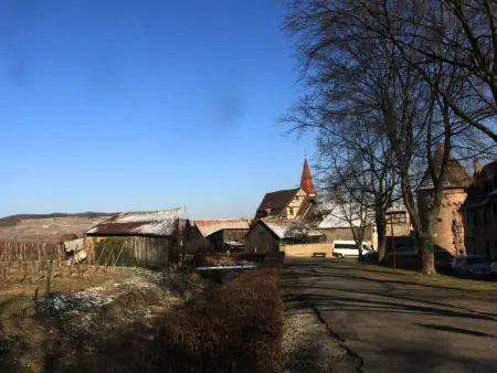Med-Face Vosges,im Süden,im Herzen der Weinberge,Ruhig,WiFi - Photo 32