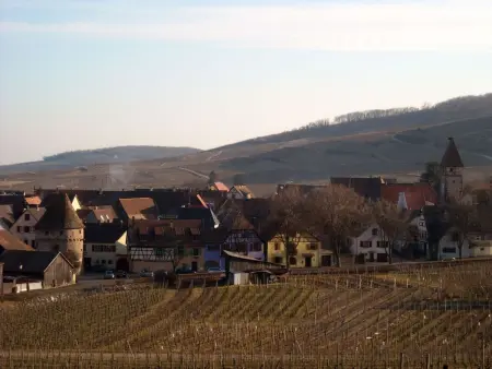 Med-Face Vosges,im Süden,im Herzen der Weinberge,Ruhig,WiFi - Photo 33