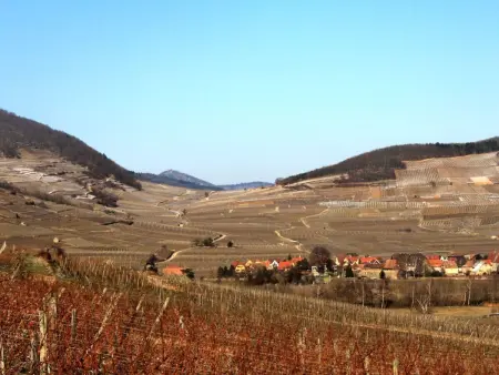 Med-Face Vosges,im Süden,im Herzen der Weinberge,Ruhig,WiFi - Photo 34