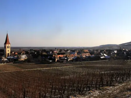 Med-Face Vosges,im Süden,im Herzen der Weinberge,Ruhig,WiFi - Photo 35
