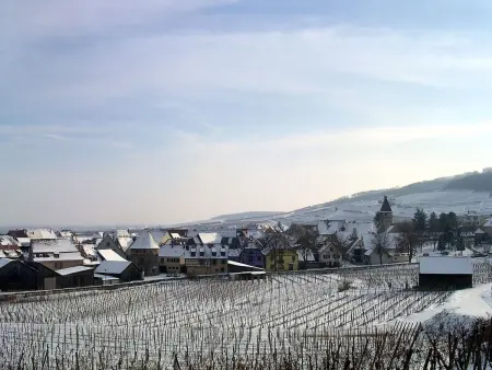 Med-Face Vosges,im Süden,im Herzen der Weinberge,Ruhig,WiFi - Photo 37