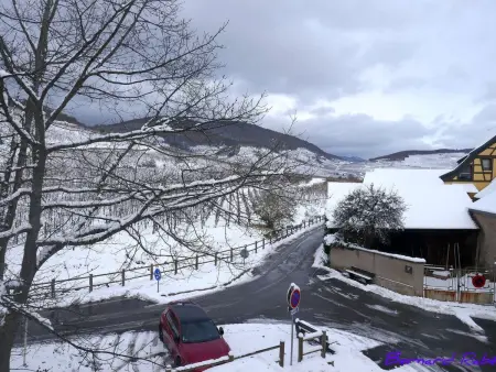 Med-Face Vosges,im Süden,im Herzen der Weinberge,Ruhig,WiFi - Photo 38
