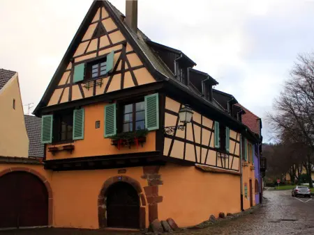 1ed-Face Vosges,au Sud,coeur Vignoble,Calme,WiFi - Photo 2