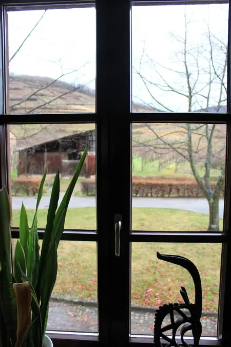 1ed-Face Vosges,au Sud,coeur Vignoble,Calme,WiFi - Photo 9
