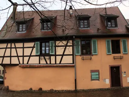 1ed-Face Vosges,au Sud,coeur Vignoble,Calme,WiFi - Photo 15