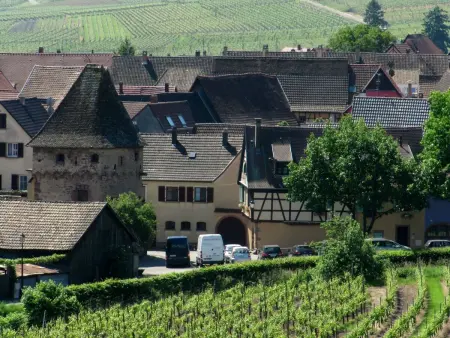 1ed-Face Vosges,au Sud,coeur Vignoble,Calme,WiFi - Photo 17