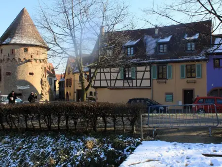 1ed-Face Vosges,au Sud,coeur Vignoble,Calme,WiFi - Photo 18