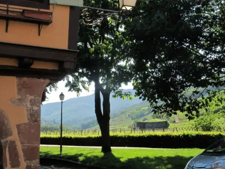 1ed-Face Vosges,au Sud,coeur Vignoble,Calme,WiFi - Photo 19