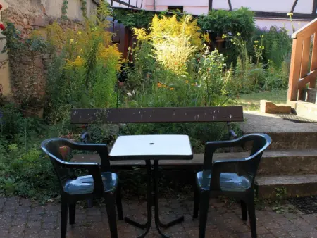 1ed-Face Vosges,au Sud,coeur Vignoble,Calme,WiFi - Photo 20
