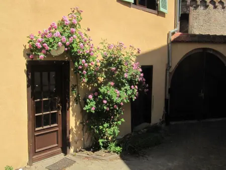 1ed-Face Vosges,au Sud,coeur Vignoble,Calme,WiFi - Photo 22